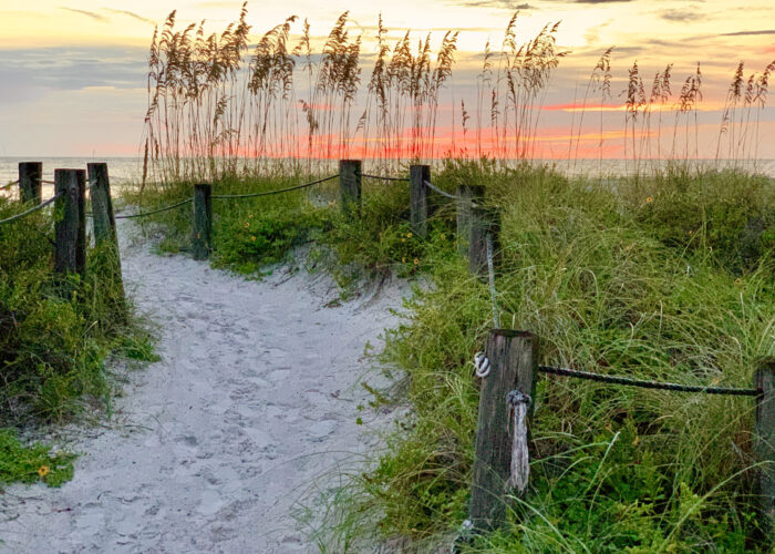 Beach access through crosswalk