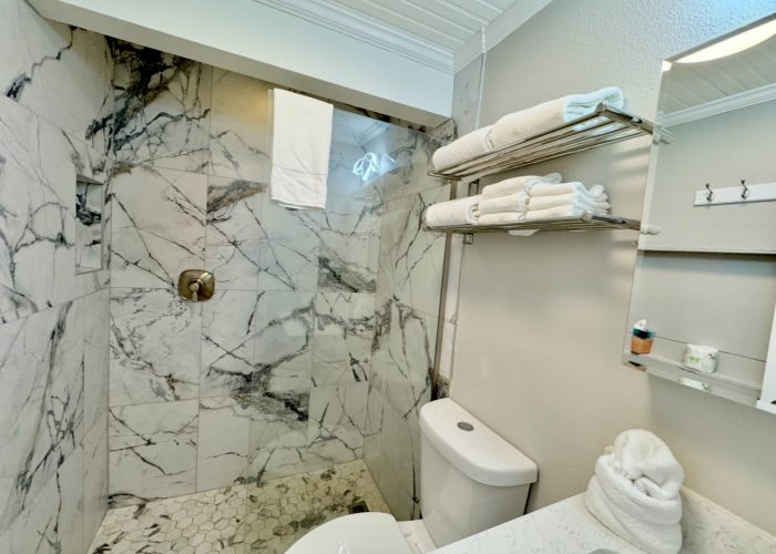 0E593CA0-E5CA-48DC-837F-7180D07B69DD_1_201_a